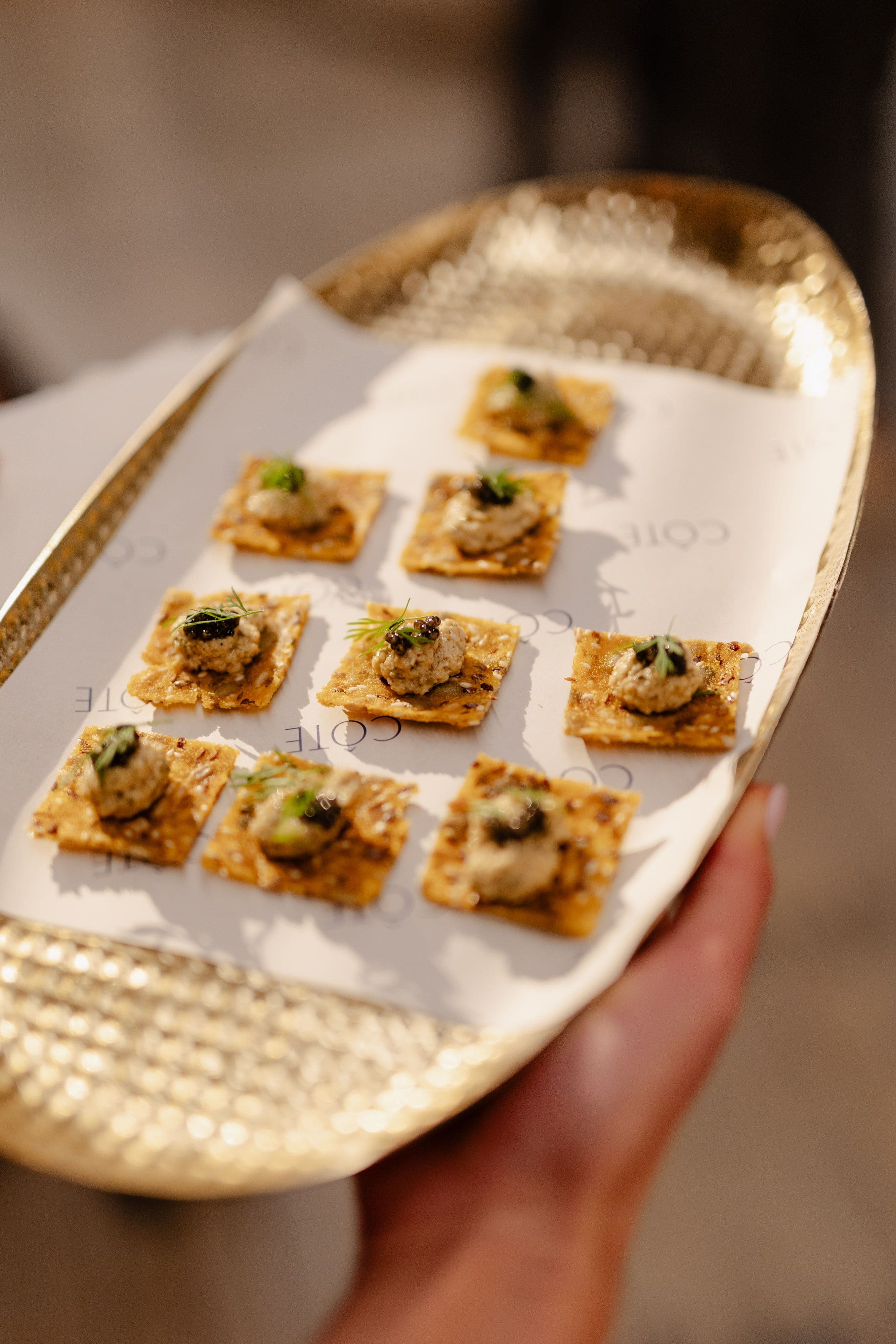 Bvlgari at Faraday's in Auckland, guests and the room, event photography by Sonna Studios